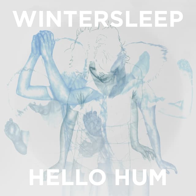 Album cover art for Hello Hum