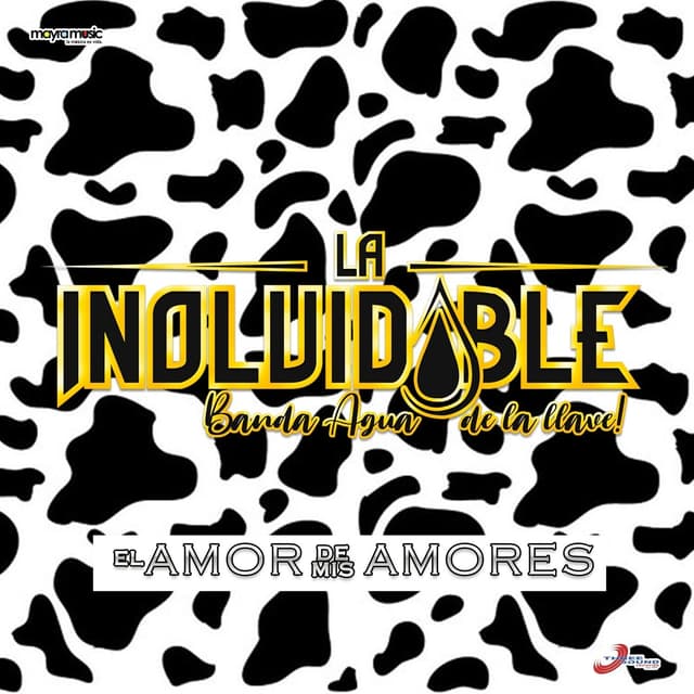 Album cover art for El Amor de Mis Amores