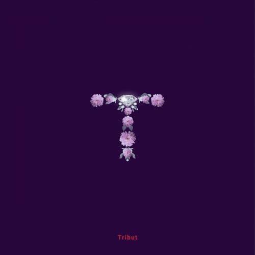 Album cover art for Tribut