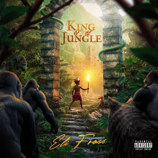Album cover art for King Of The Jungle