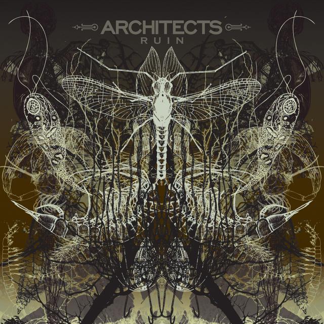 Album cover art for Ruin