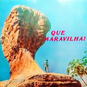 Album cover art for Que Maravilha!