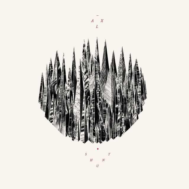 Album cover art for Shunt
