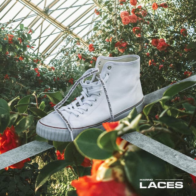 Album cover art for Laces
