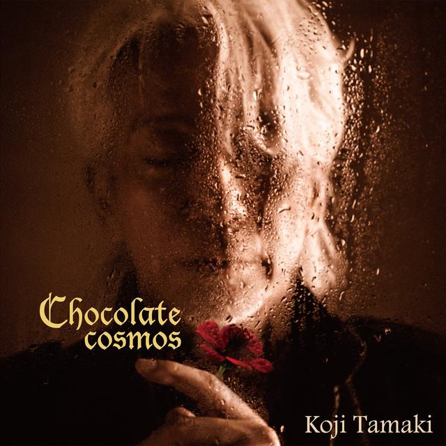 Album cover art for Chocolate Cosmos