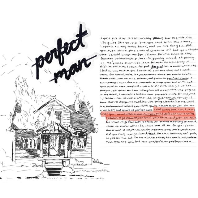 Album cover art for Perfect Man