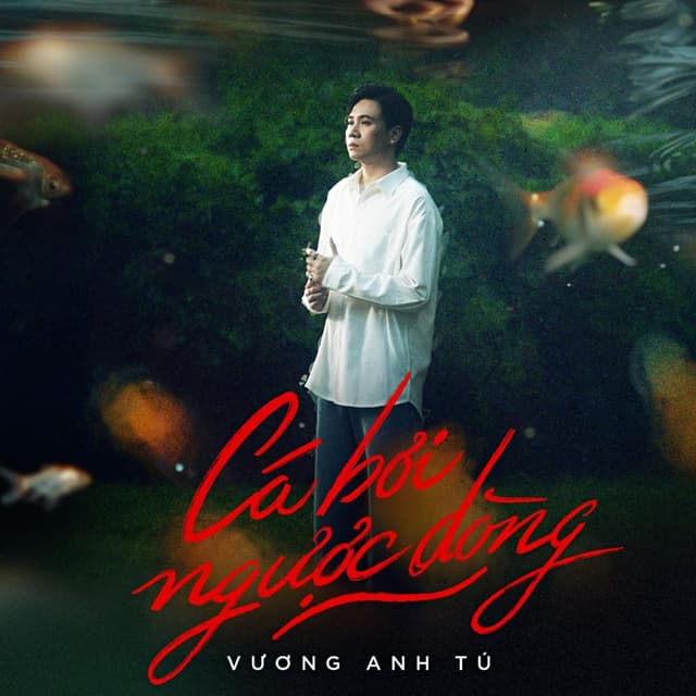 Album cover art for Cá Bơi Ngược Dòng