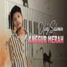 Anggur Merah
