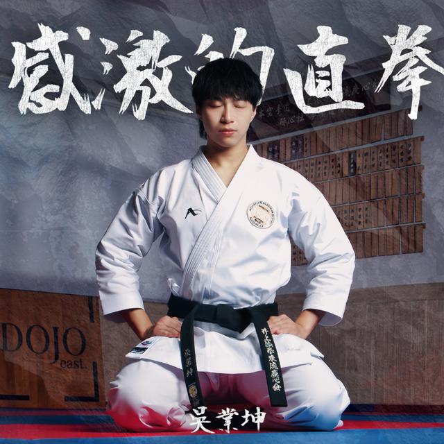 Album cover art for 感激的直拳