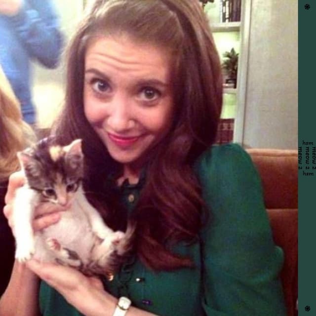 Album cover art for meow 2 (deluxe)