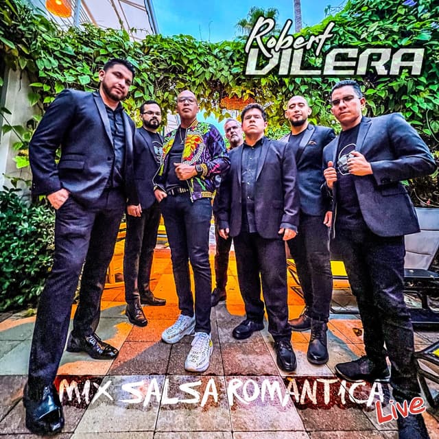 Album cover art for Mix Salsa Romantica: Que Locura Enamorarme de Ti / Un Montón de Estrellas