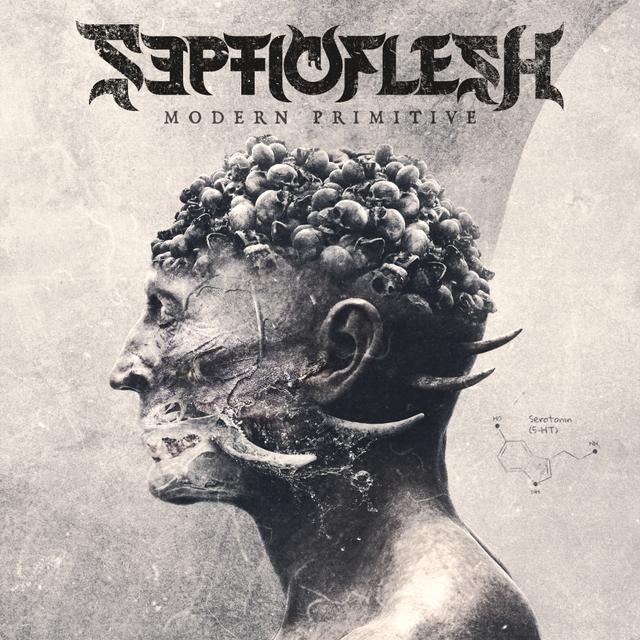 Album cover art for Modern Primitive