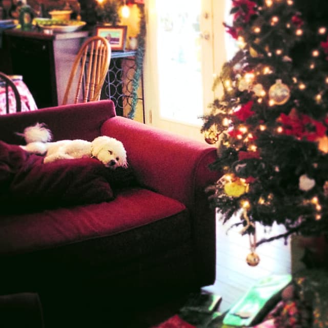 Album cover art for The Holiday