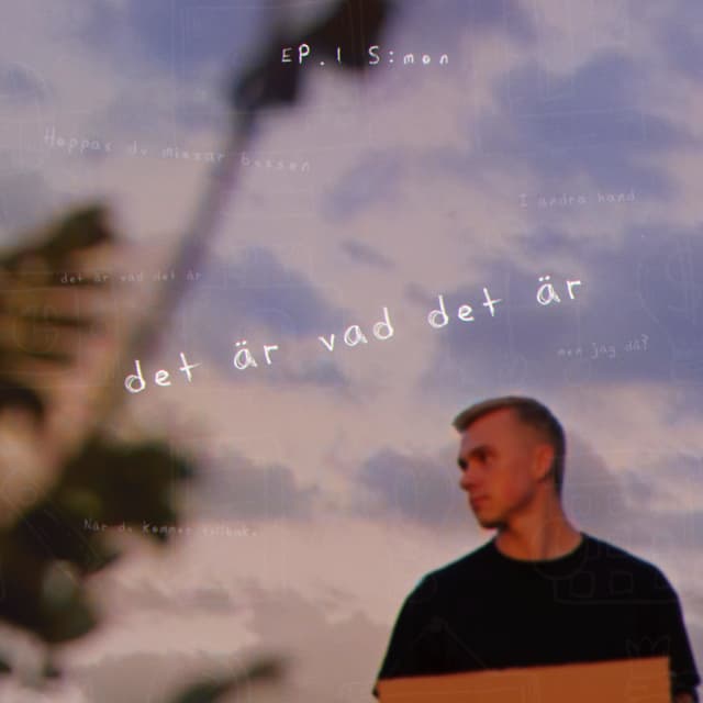 Album cover art for det är vad det är