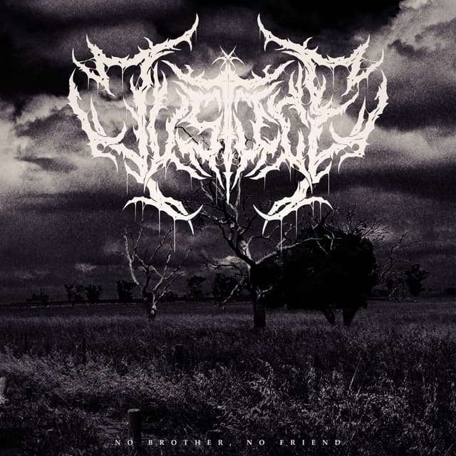 Album cover art for No Brother, No Friend