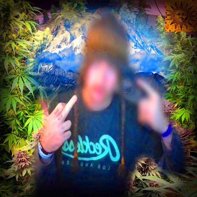 Album cover art for THE PEAK