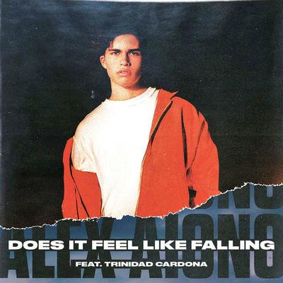 Album cover art for Does It Feel Like Falling