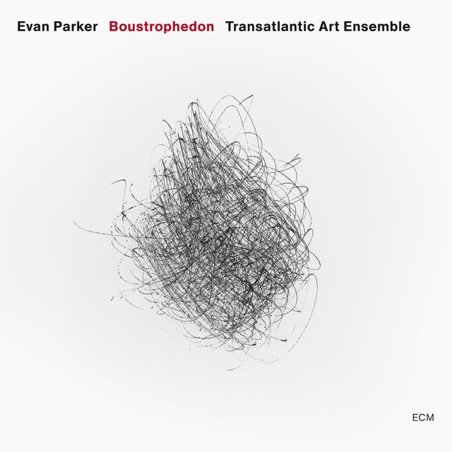 Album cover art for Boustrophedon