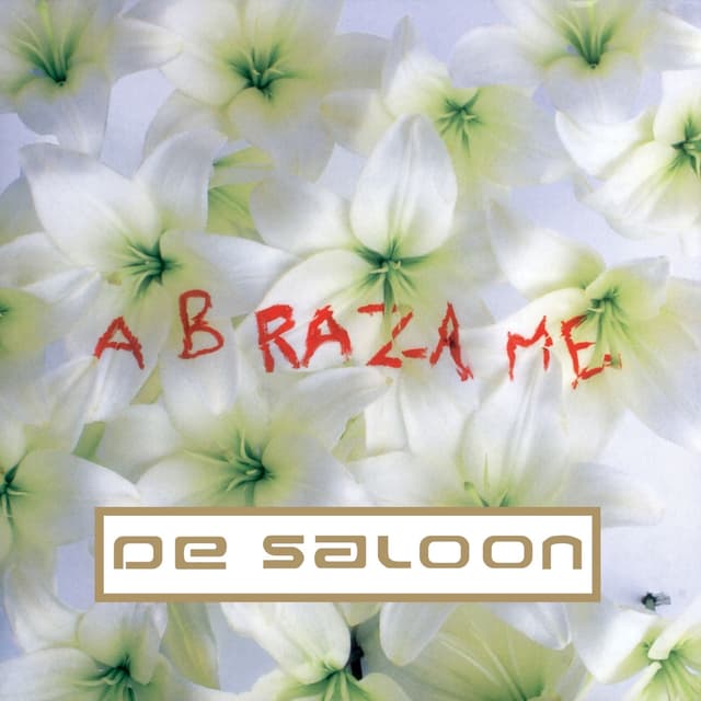 Album cover art for Abrázame