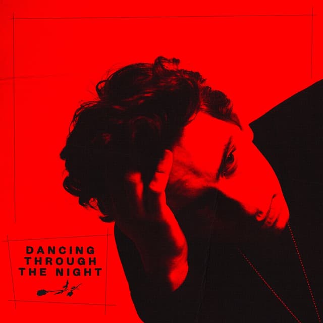 Album cover art for Dancing Through the Night