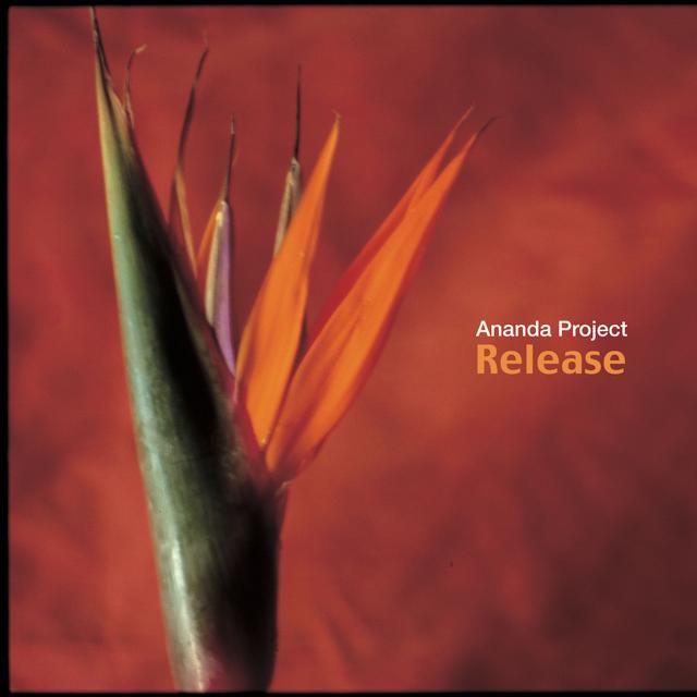 Album cover art for Release