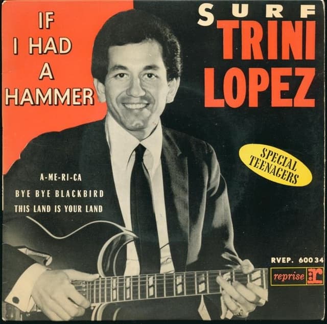 Album cover art for If I Had A Hammer