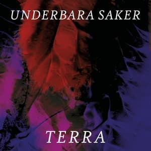 Album cover art for Underbara saker