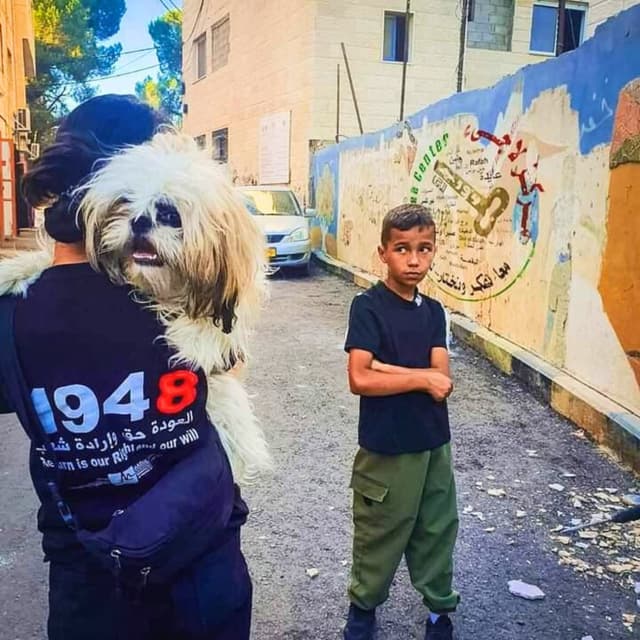 Album cover art for We Are