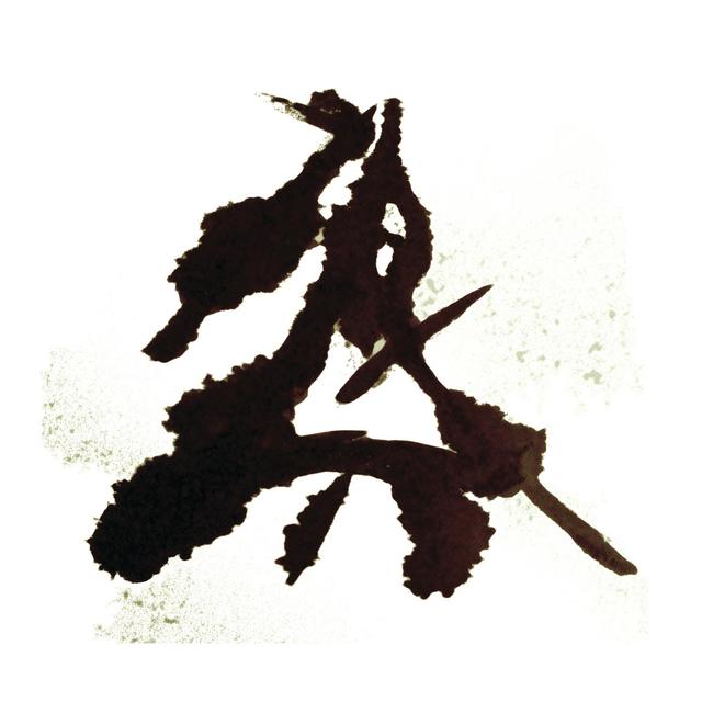 Album cover art for Einzelkämpfer (Lone Warrior)
