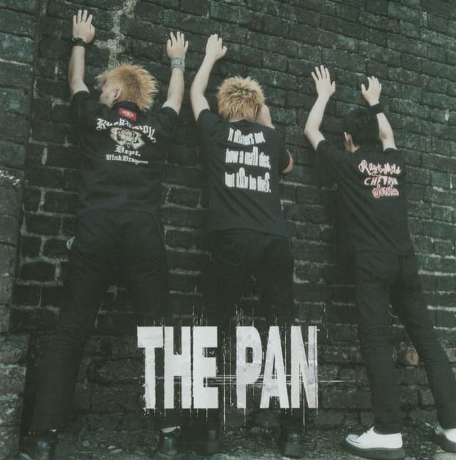 Album cover art for THE PAN