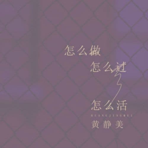 Album cover art for 怎么做怎么过怎么活