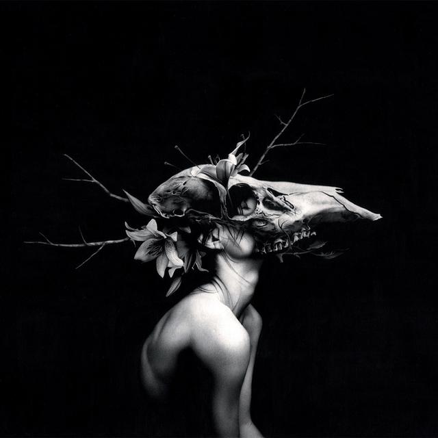 Album cover art for New Words for Old Wounds