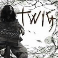 Album cover art for Twig