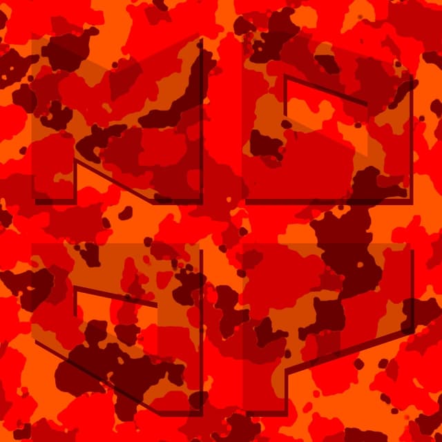 Album cover art for Camouflage