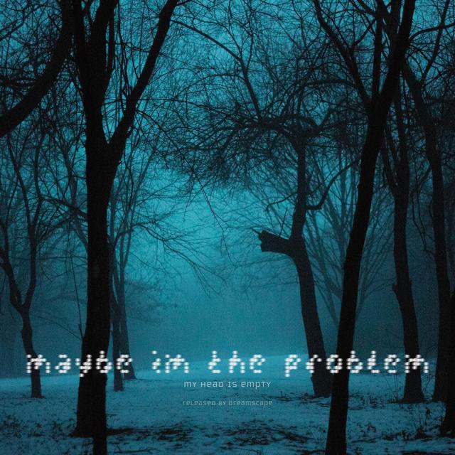 Album cover art for maybe im the problem