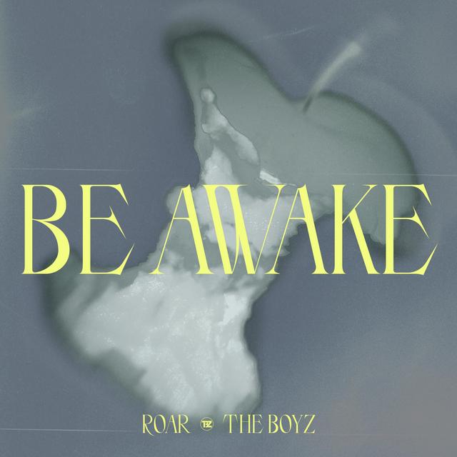 Album cover art for Be Awake