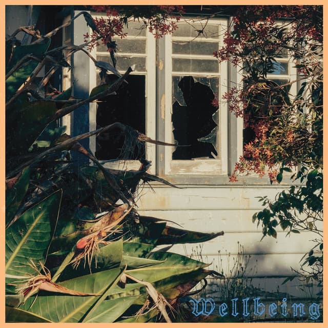 Album cover art for Wellbeing