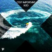 Album cover art for C'est important