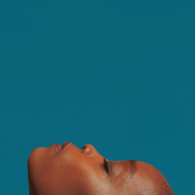 Album cover art for The Sound of What We Are