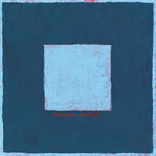 Album cover art for Skylight