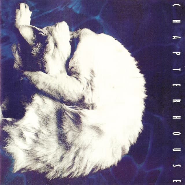 Album cover art for Whirlpool