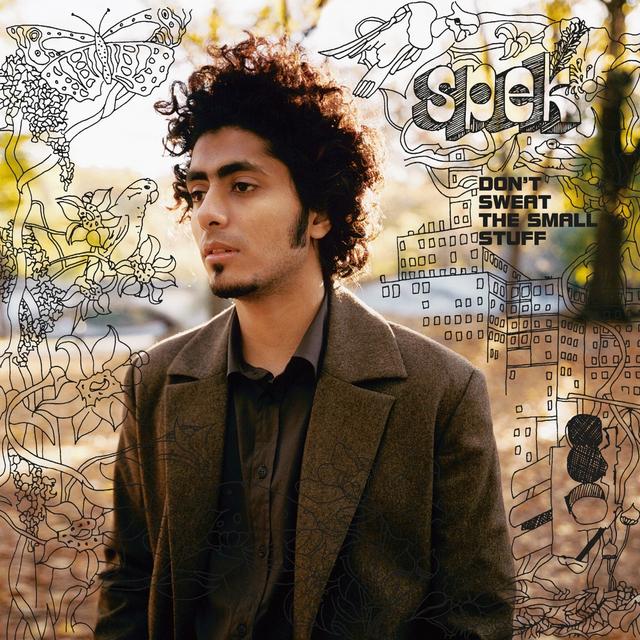 Album cover art for Don't Sweat The Small Stuff