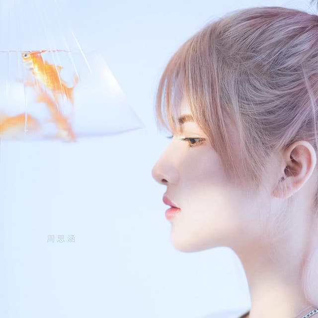 Album cover art for 说一句我不走了