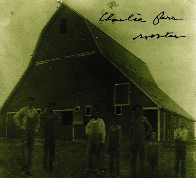 Album cover art for Rooster