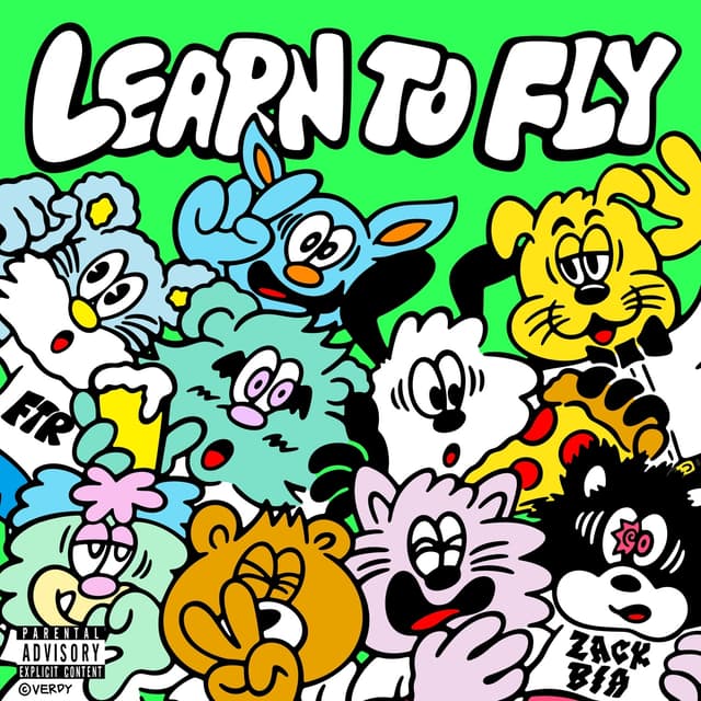 Album cover art for Learn to Fly