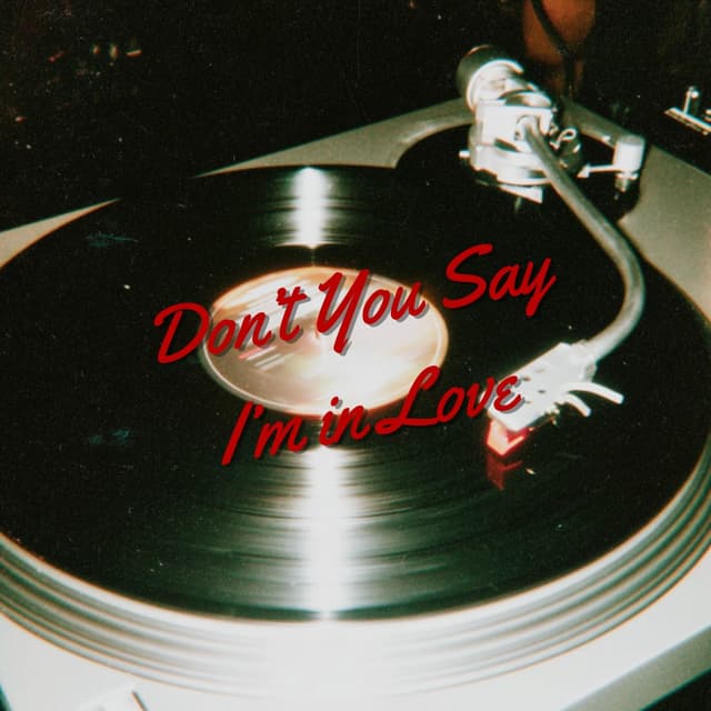Album cover art for Don't You Say I'm in Love