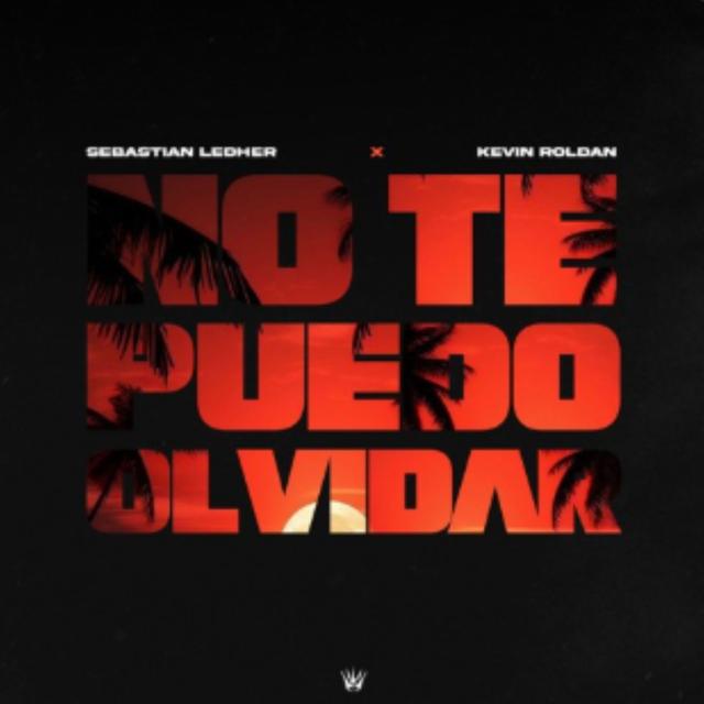 Album cover art for No Te Puedo Olvidar