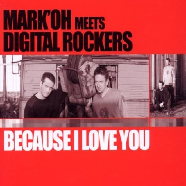 Album cover art for Because I Love You