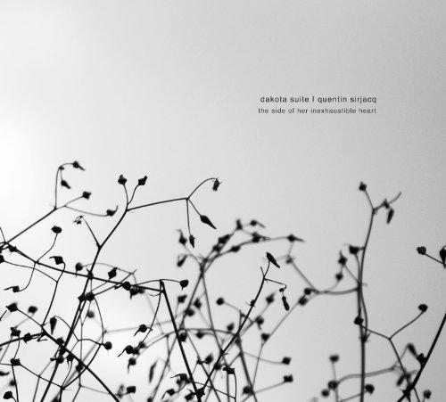 Album cover art for The Side of Her Inexhaustible Heart