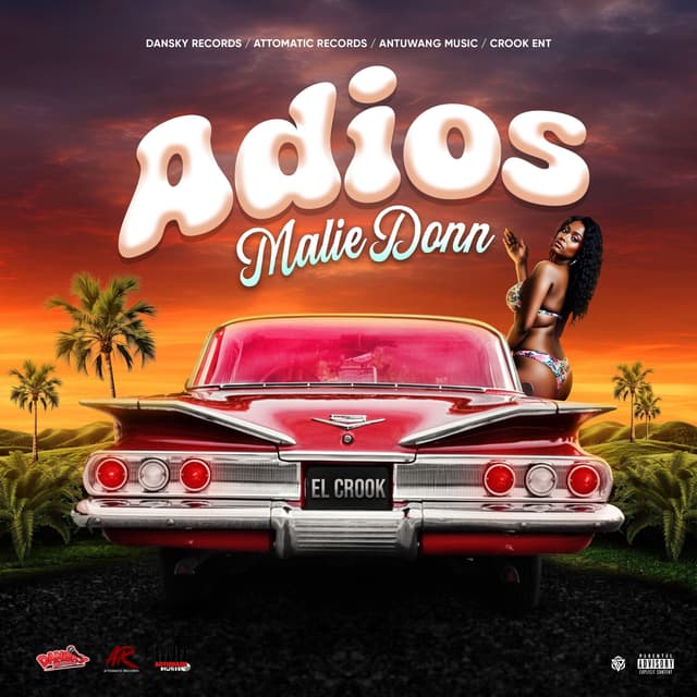 Album cover art for Adios